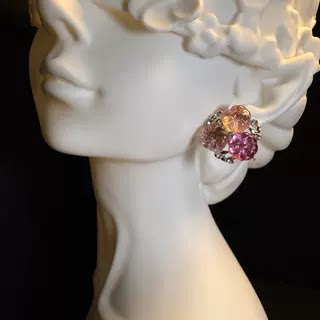 Crystal Bloomss Earrings