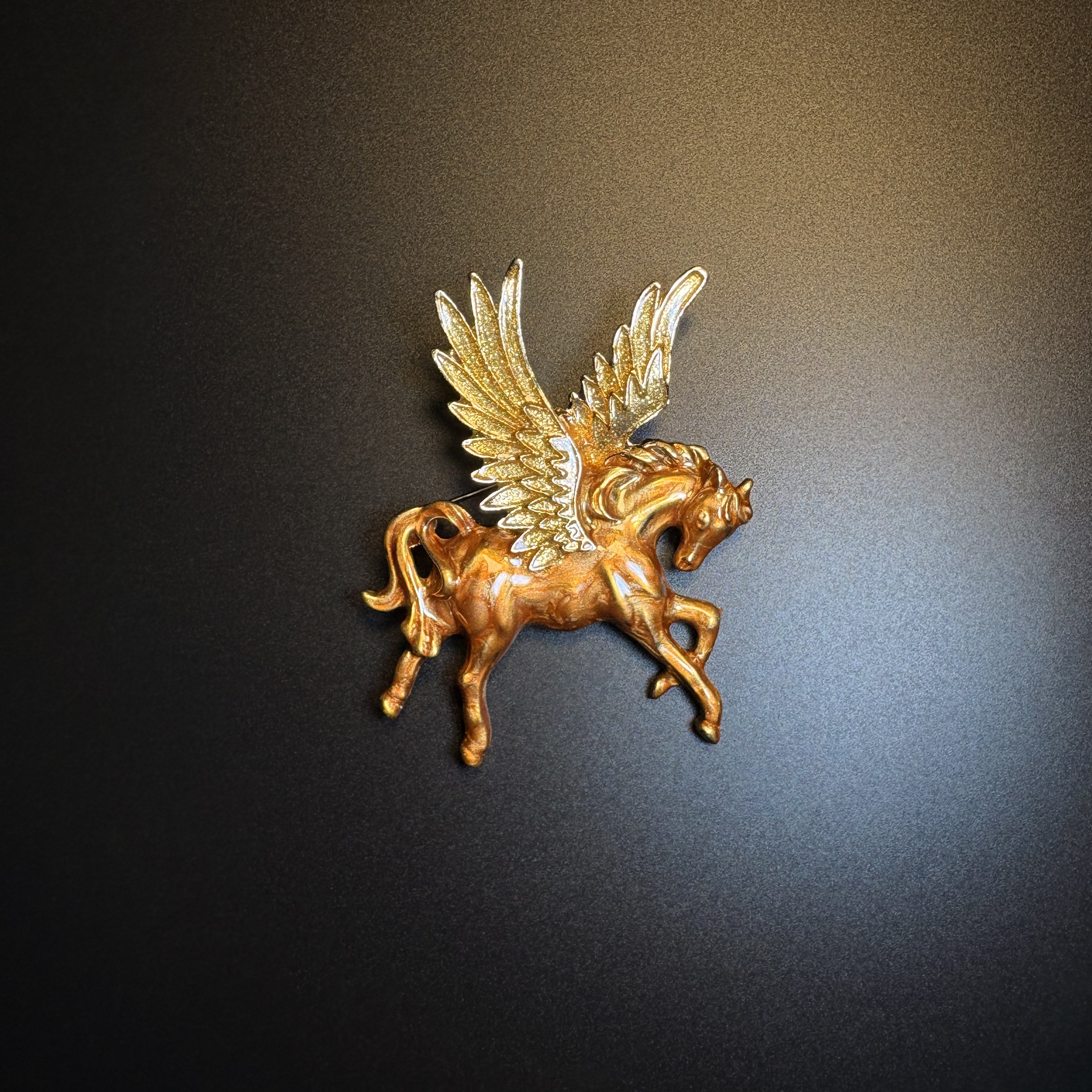 Velvet Keepsake Brooch