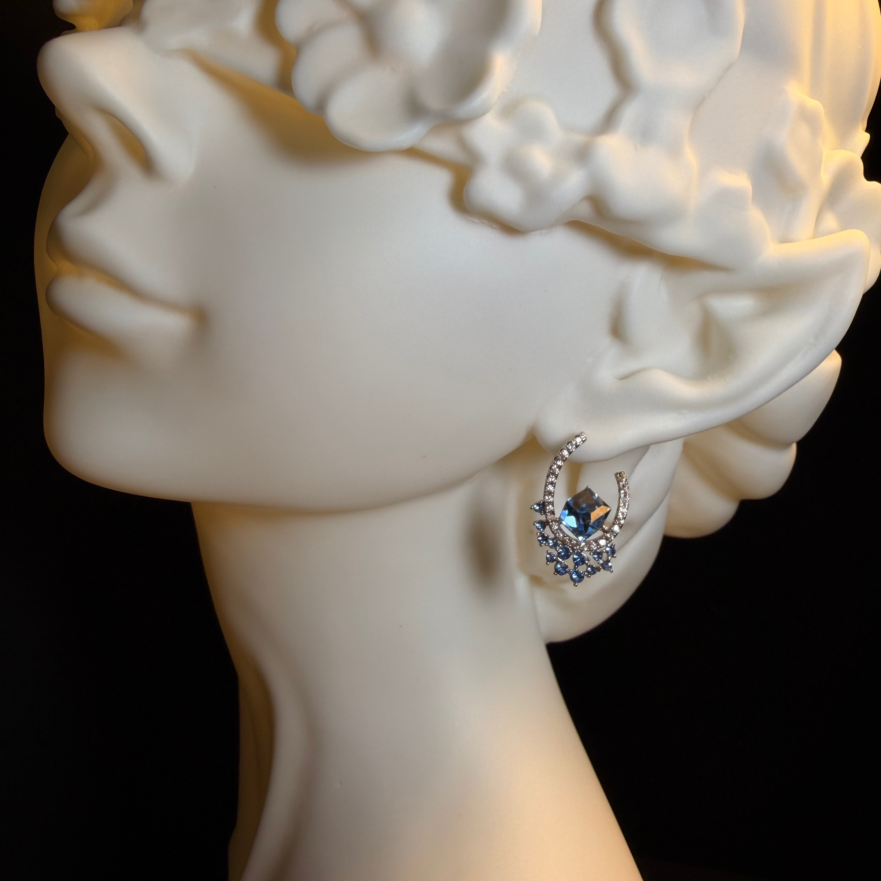 Squarebluerg Earrings